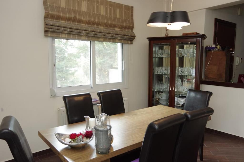 Villa Vasili Tríkala Dış mekan fotoğraf