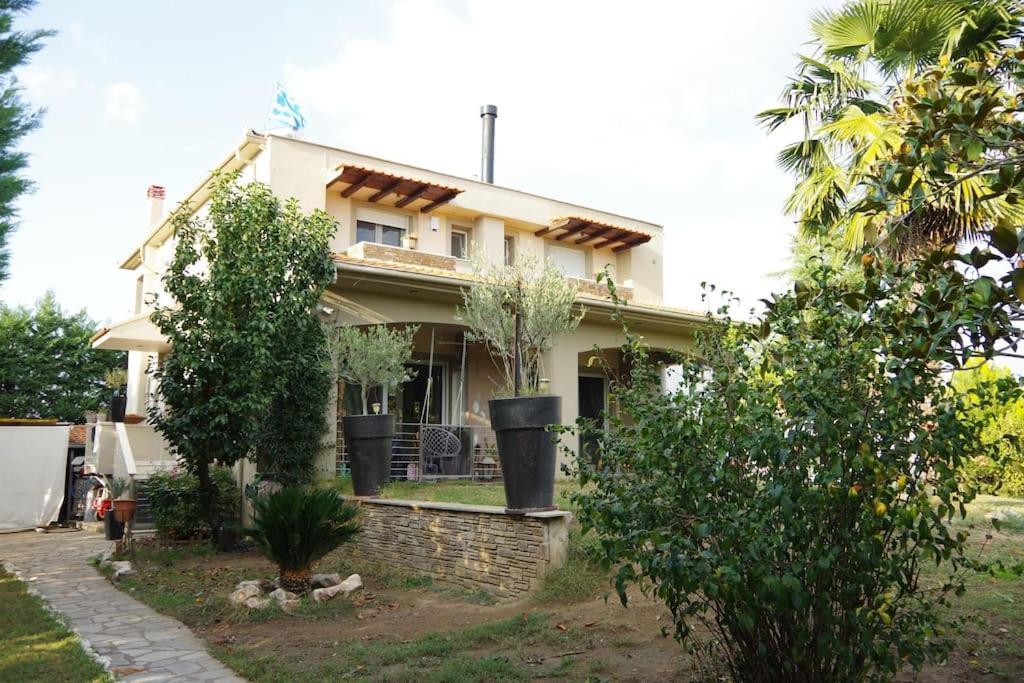 Villa Vasili Tríkala Dış mekan fotoğraf