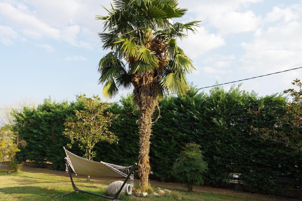 Villa Vasili Tríkala Dış mekan fotoğraf