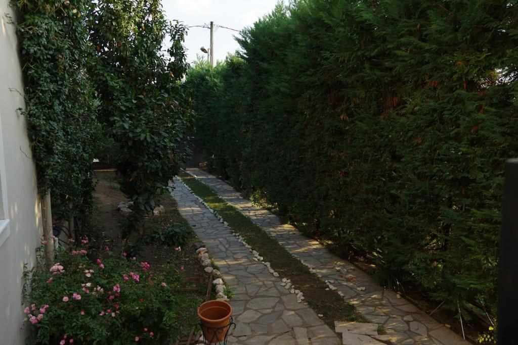 Villa Vasili Tríkala Dış mekan fotoğraf